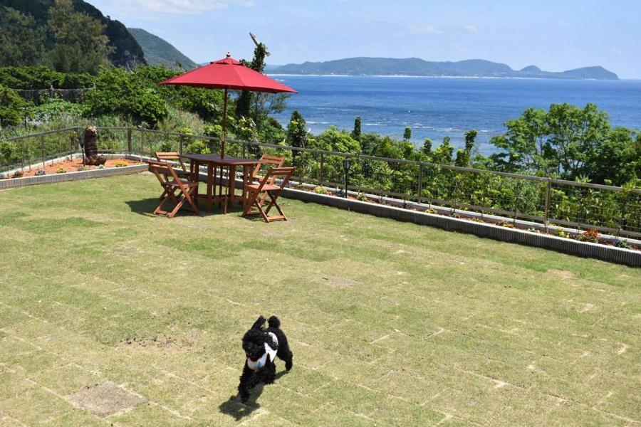 Вілла Sol E Mar Tatsugo Екстер'єр фото
